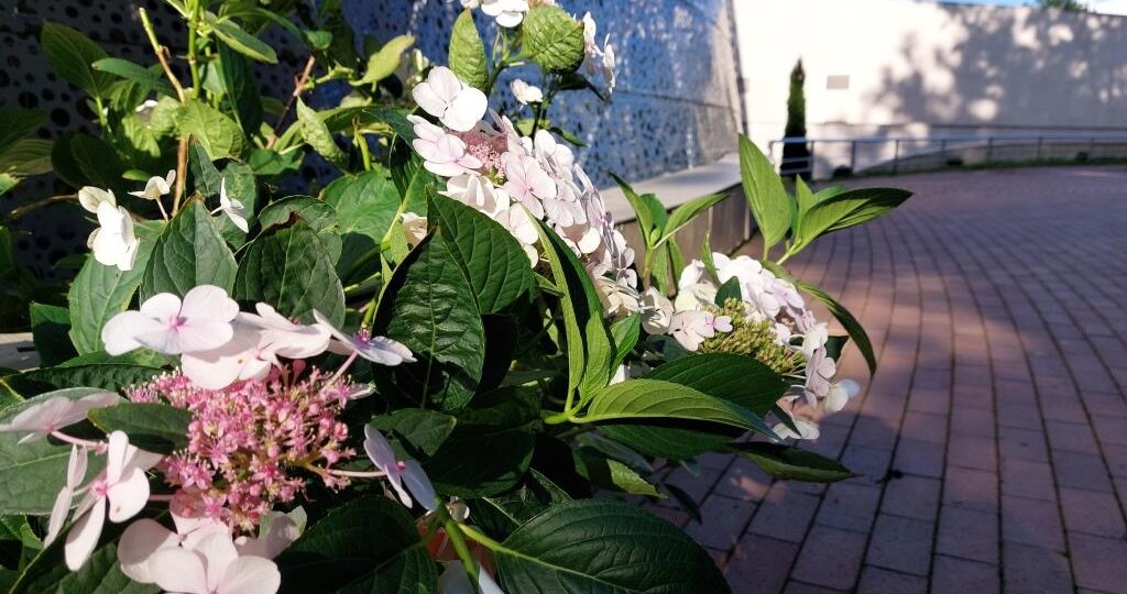 Светлогорск курортный и многоуровневый. Часть четвёртая. Разлучная.