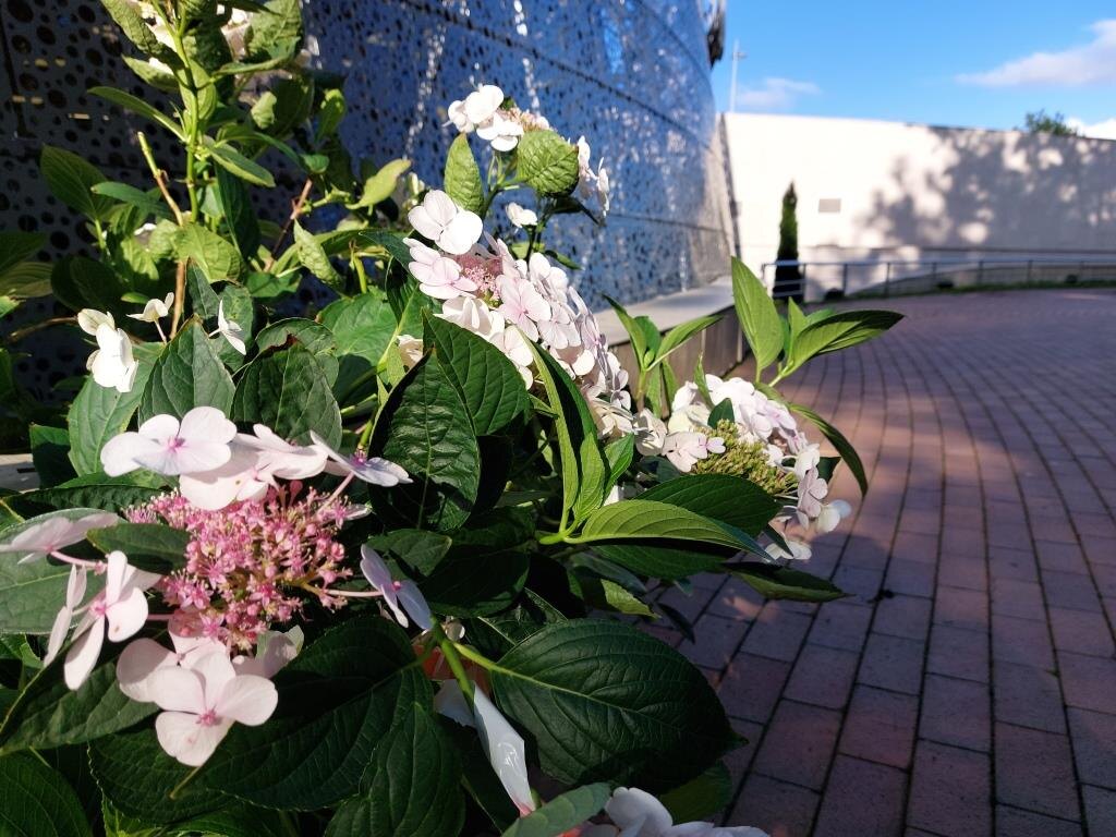 Долго думал какое выбрать фото для заголовка статьи и решил, что пусть будет такое