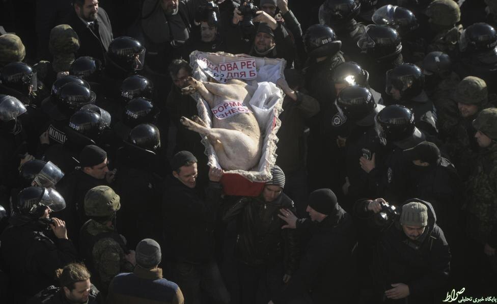    People carry a coffin with a pig inside, while walking through the lines of law enforcement officers during a protest by farmers and their supporters against possible changes in the state budget and tax regulations in the agricultural sector, currently considered by the authorities, outside the parliament headquarters in Kiev, Ukraine, December 24, 2015. REUTERS/Andrew Kravchenko/Pool