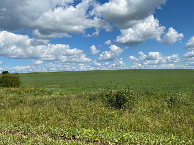     Фото: "МК в Калуге"