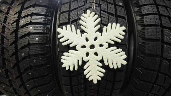    © Sputnik / Руслан Кривобок