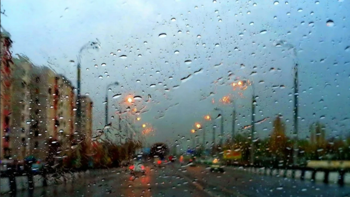 Источник: Интернет