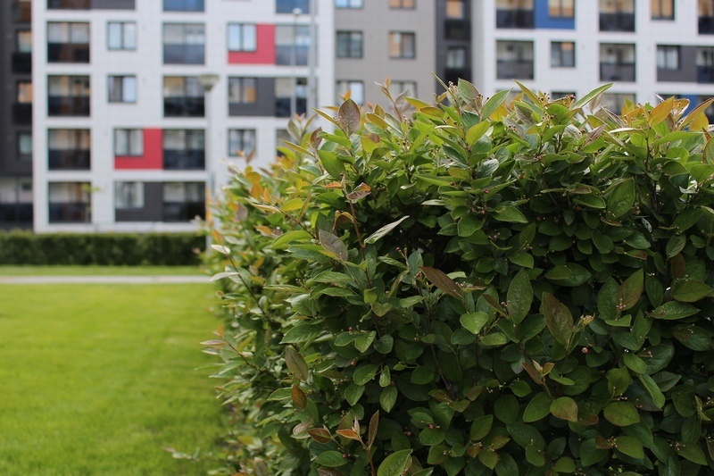    фото: © Столица на Онего