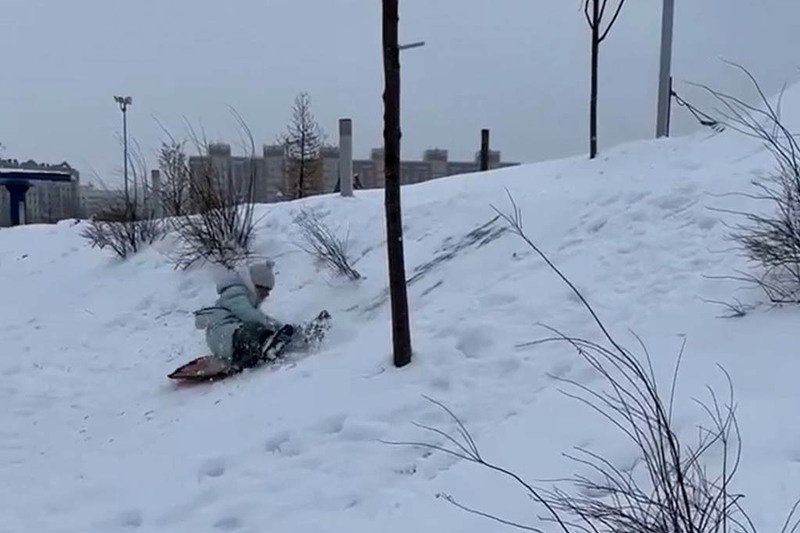    На склонах, где катаются дети и подростки, посажены цветы, кустарники и деревья, говорят в "Горзеленстрое".