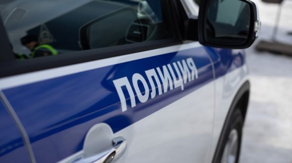    Полиция. МВД. Машина. Источник: Анна Меньшикова