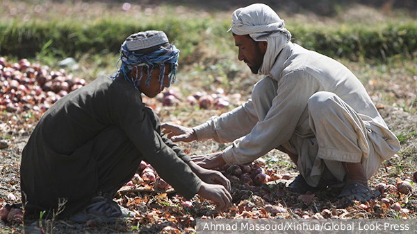     Фото: Ahmad Massoud/Xinhua/Global Look Press   
 Текст: Алексей Дегтярев