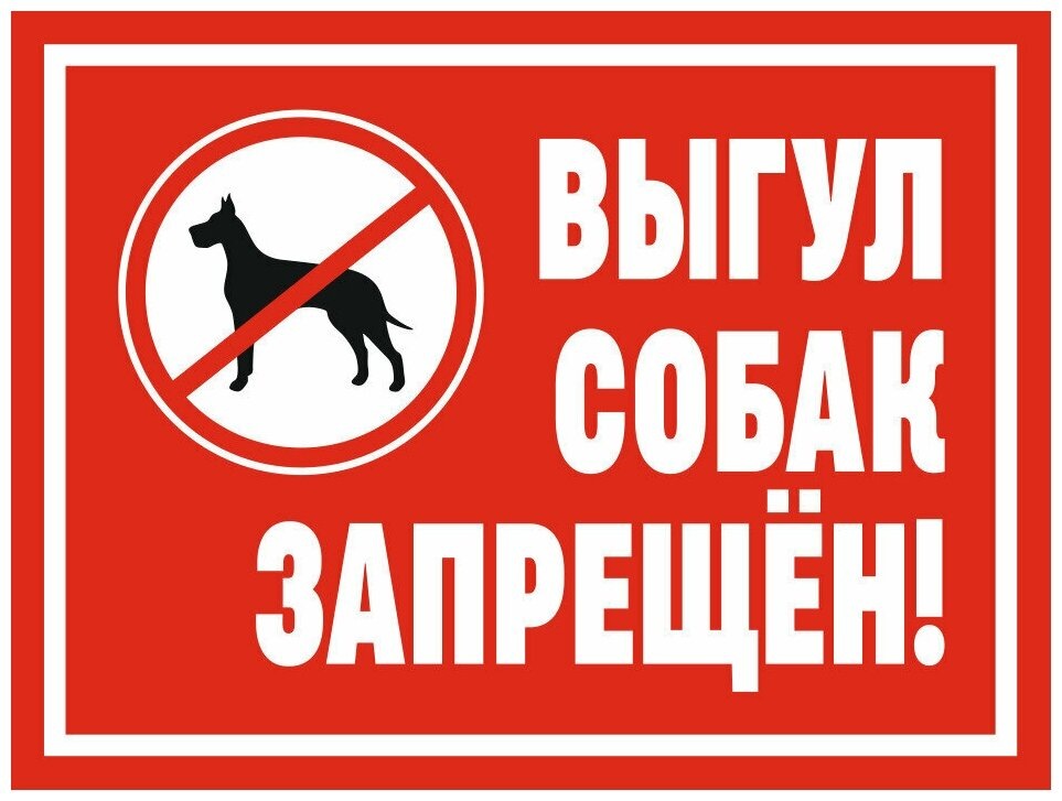 Все фото из интернета