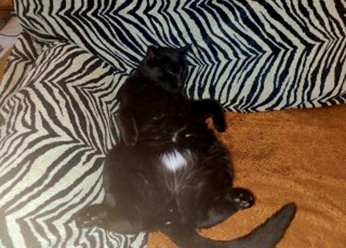 Это Фима, один из моих спасателей