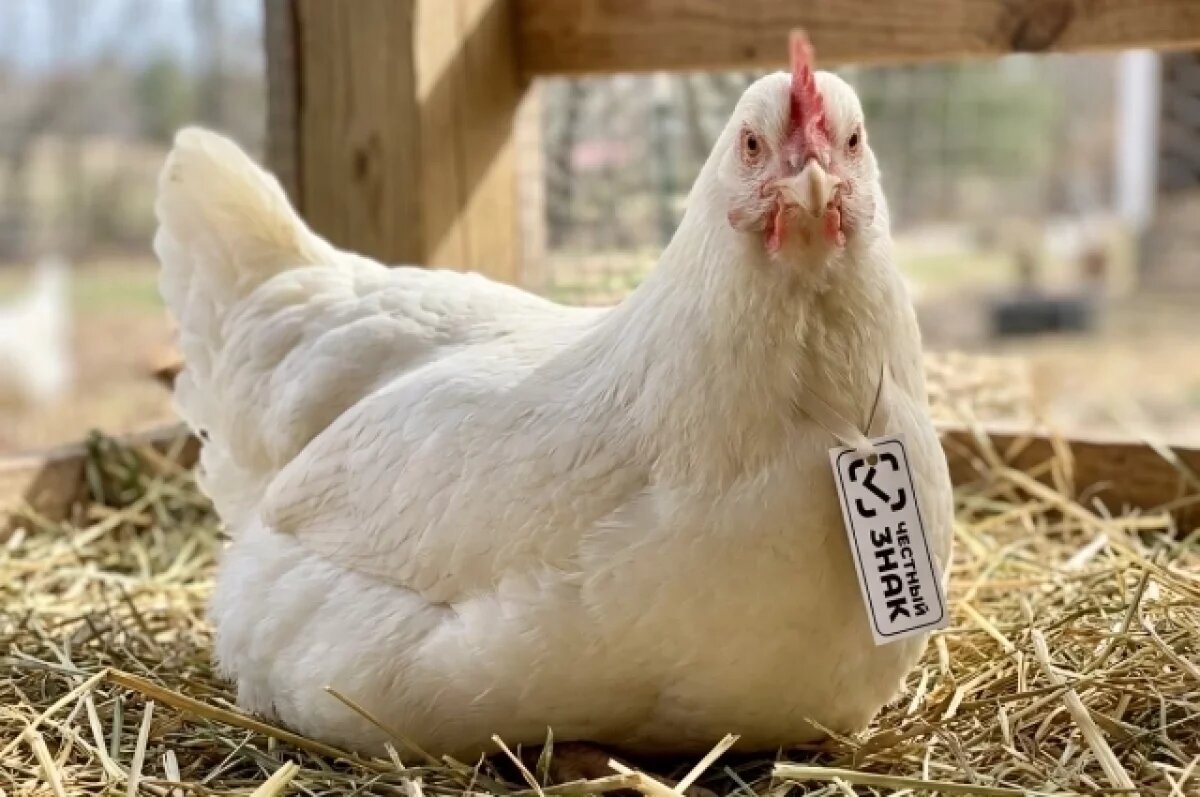    Нижегородская птицефабрика участвует в эксперименте «Честный знак»