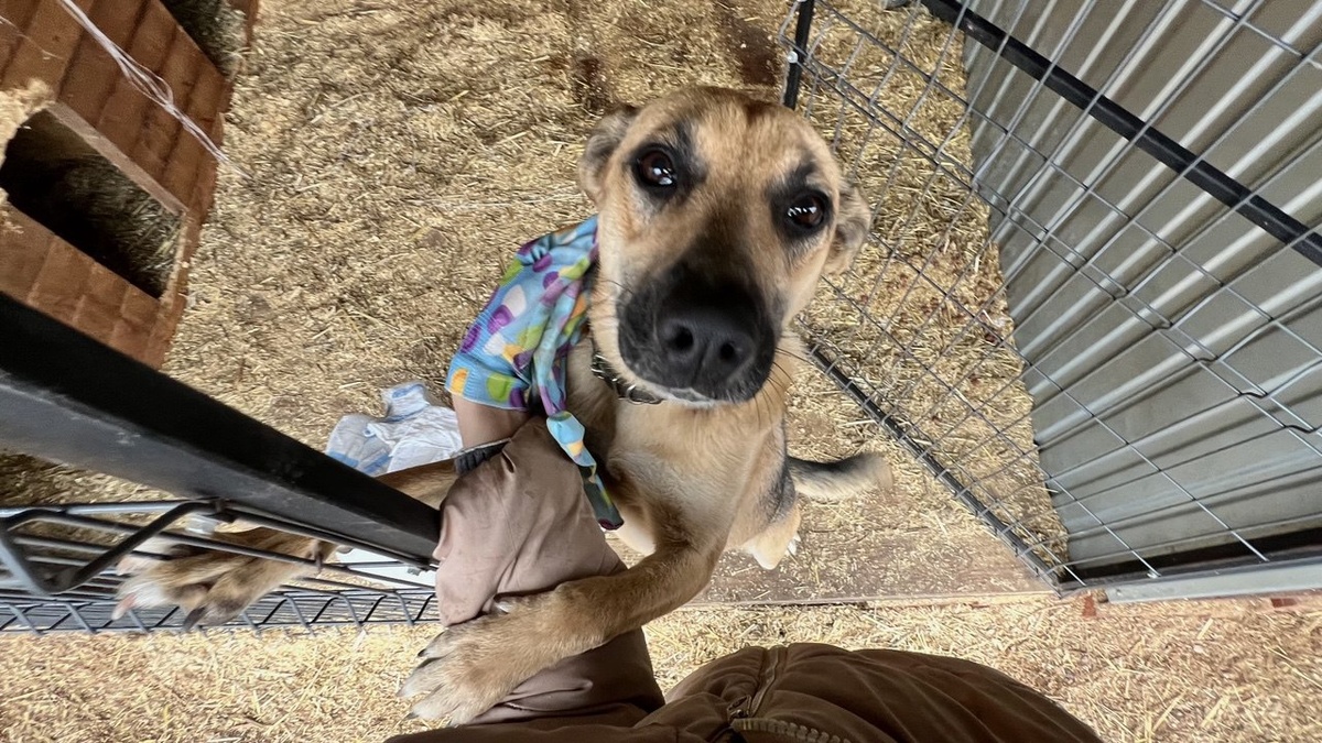    Анна Сальникова