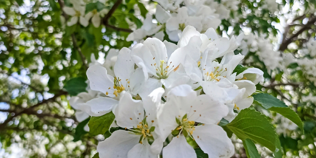 Остерегайтесь мошенников