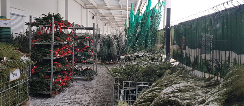    Ирина Меркова