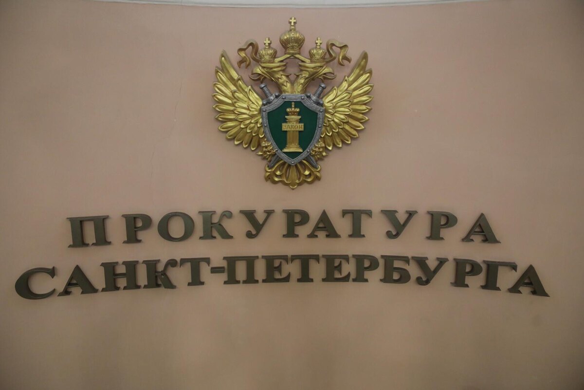 Фото: Роман Пименов/«Петербургский дневник»