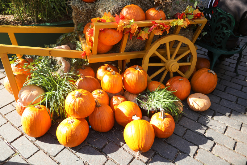    © Seleznev Pavel news.ru/Globallookpress