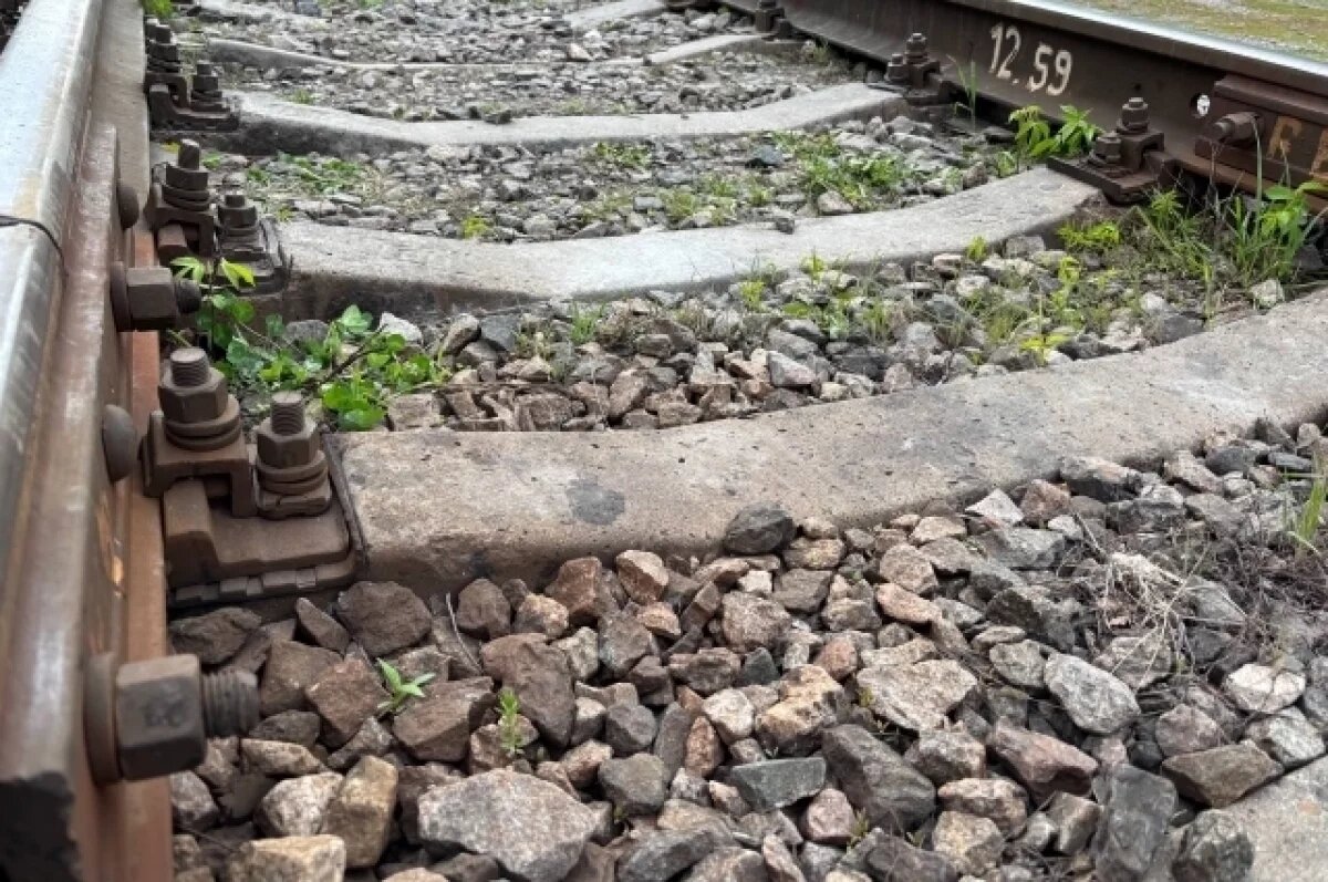    Рязанская область получит поезда нового поколения к 2030 году