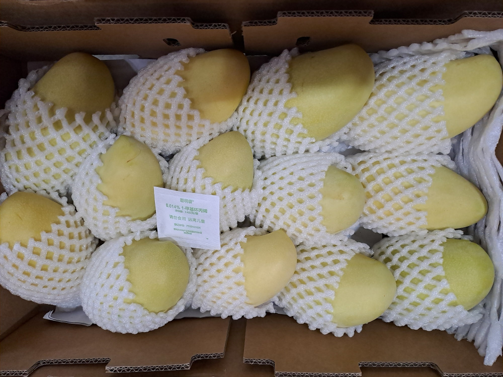     Фото: Уральское таможенное управление