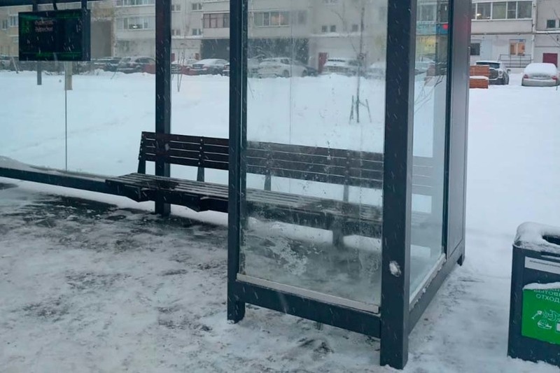    Инцидент произошел еще 21 ноября с 23:02 до 23:22 на остановке у Городецкой, 1. Происшествие зафиксировали камеры видеонаблюдения.