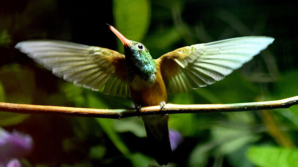 ФОТО: www.globallookpress/Holger Hollemann/dpa