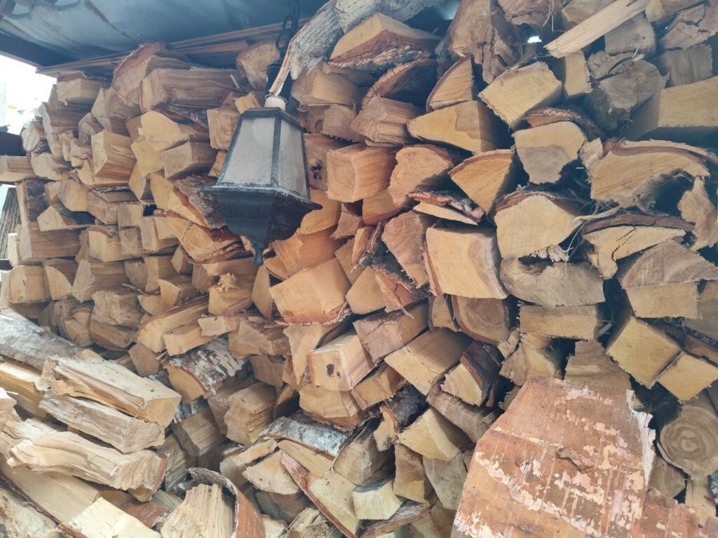    Жительницу Тоцкого района обеспечат дровами по распоряжению губернатора. Автор фото: Наталья Русинова