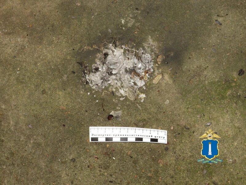    Фото: УМВД по Ульяновской области