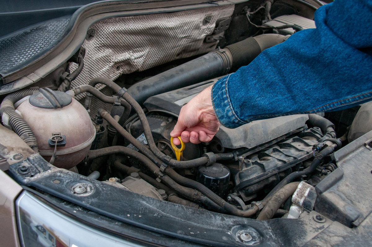     Фото Svetlana Vozmilova/globallookpress.com