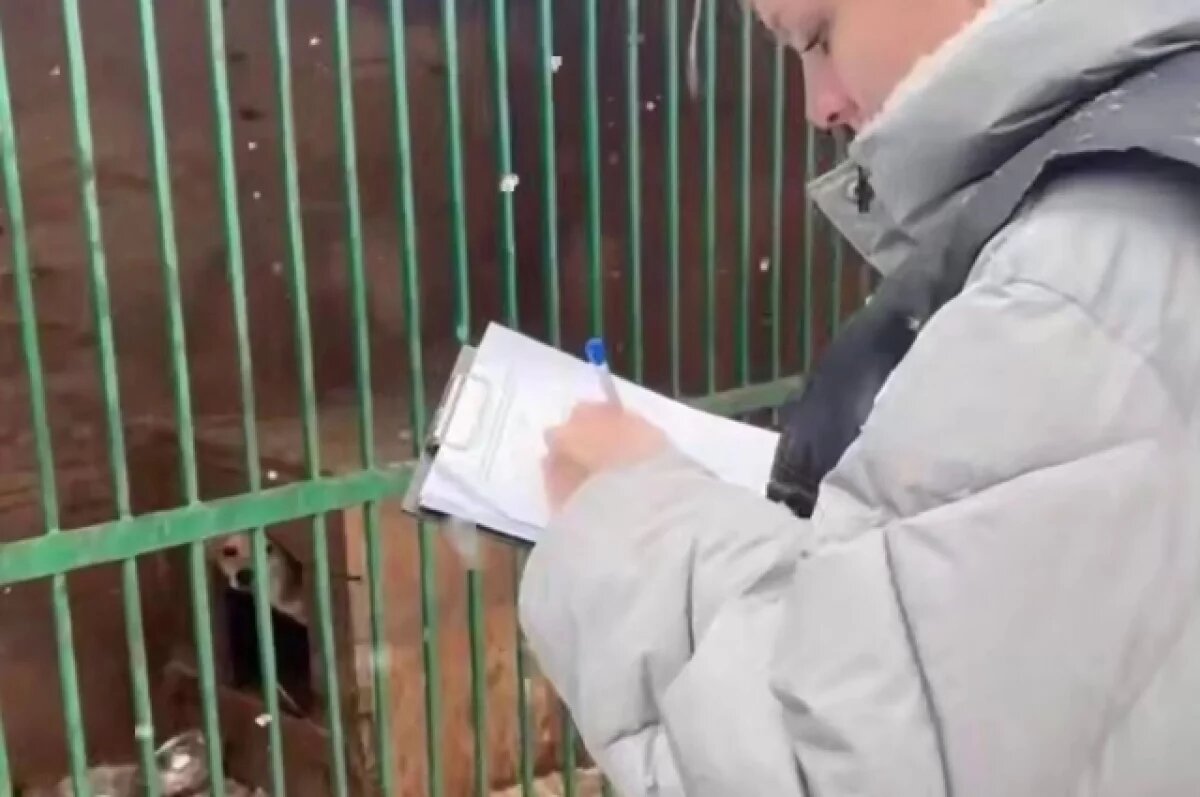    Следователи провели обыски в питомнике для собак К-9 в Иркутске