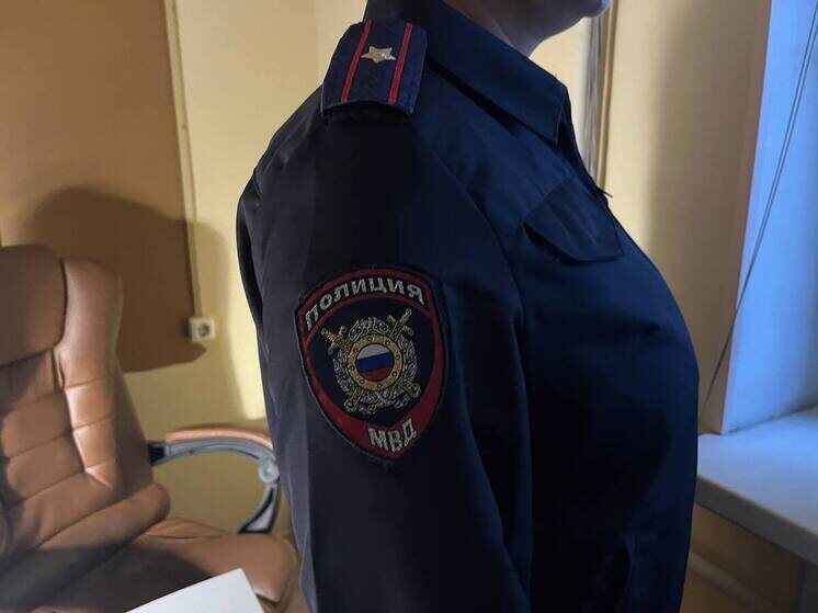     Следователи проверяют, не участвовала ли задержанная в других подобных преступлениях. Фото из архива "МК в Питере"