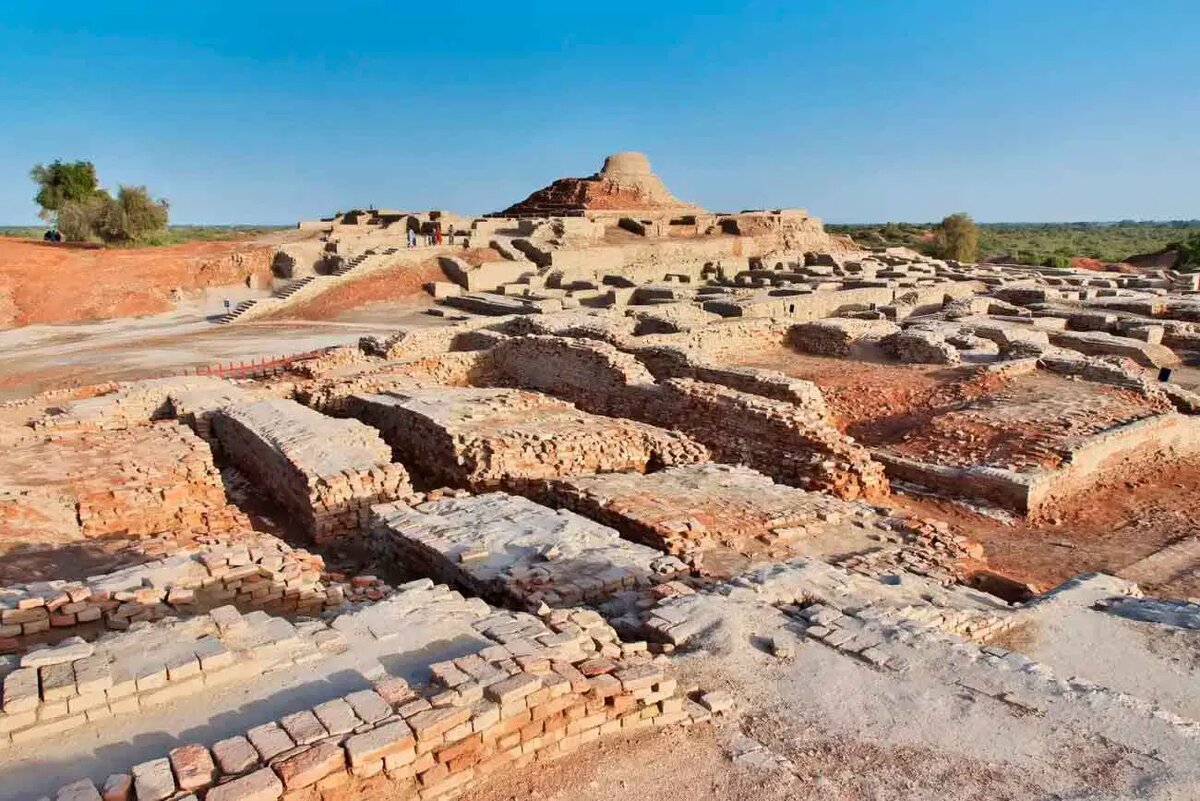    Фото: naked-science.ru Павел Евсеев