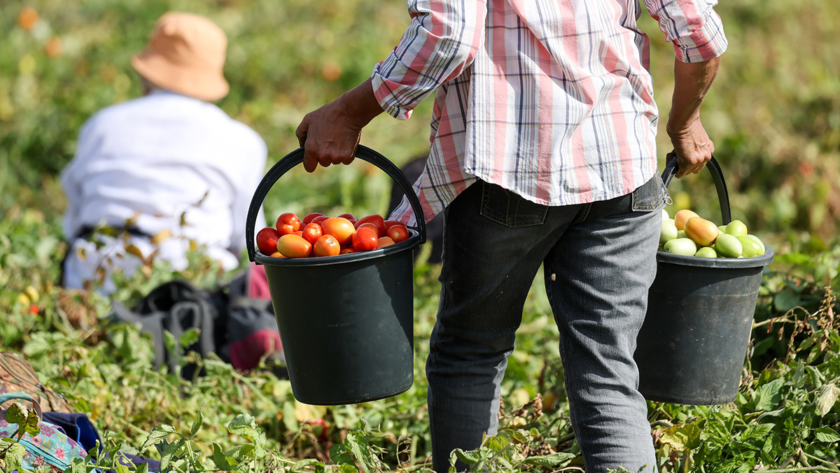   Алексей Коновалов / ТАСС