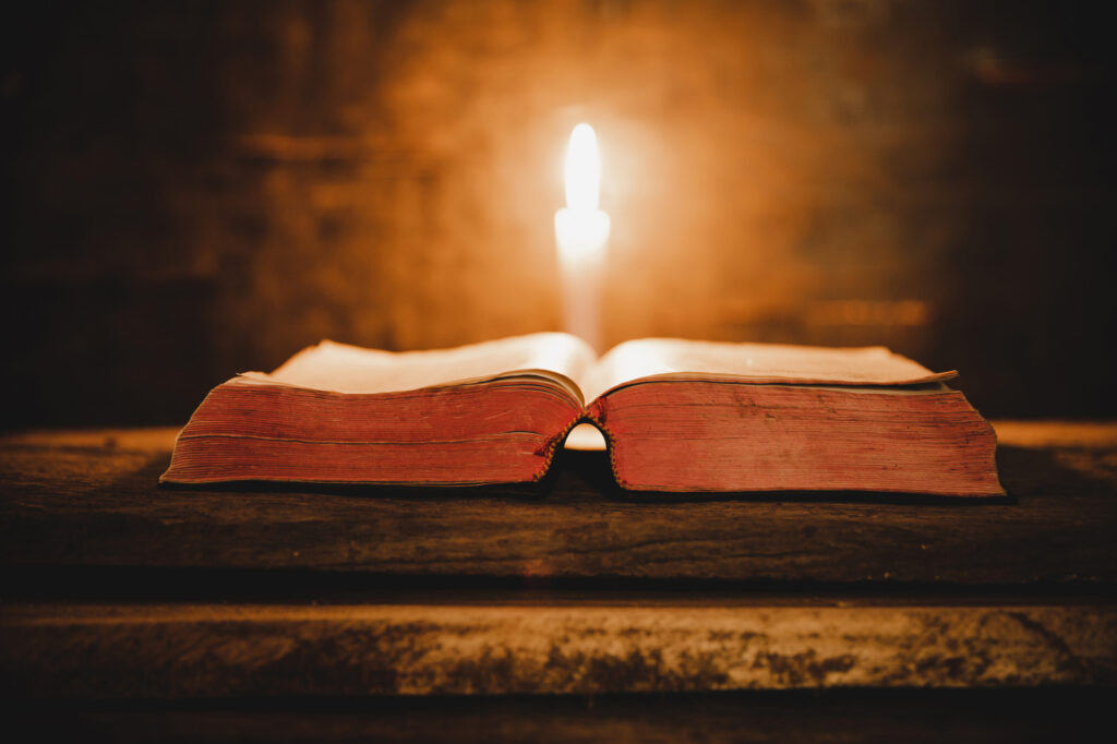    Фото: freepik.com © jcomp