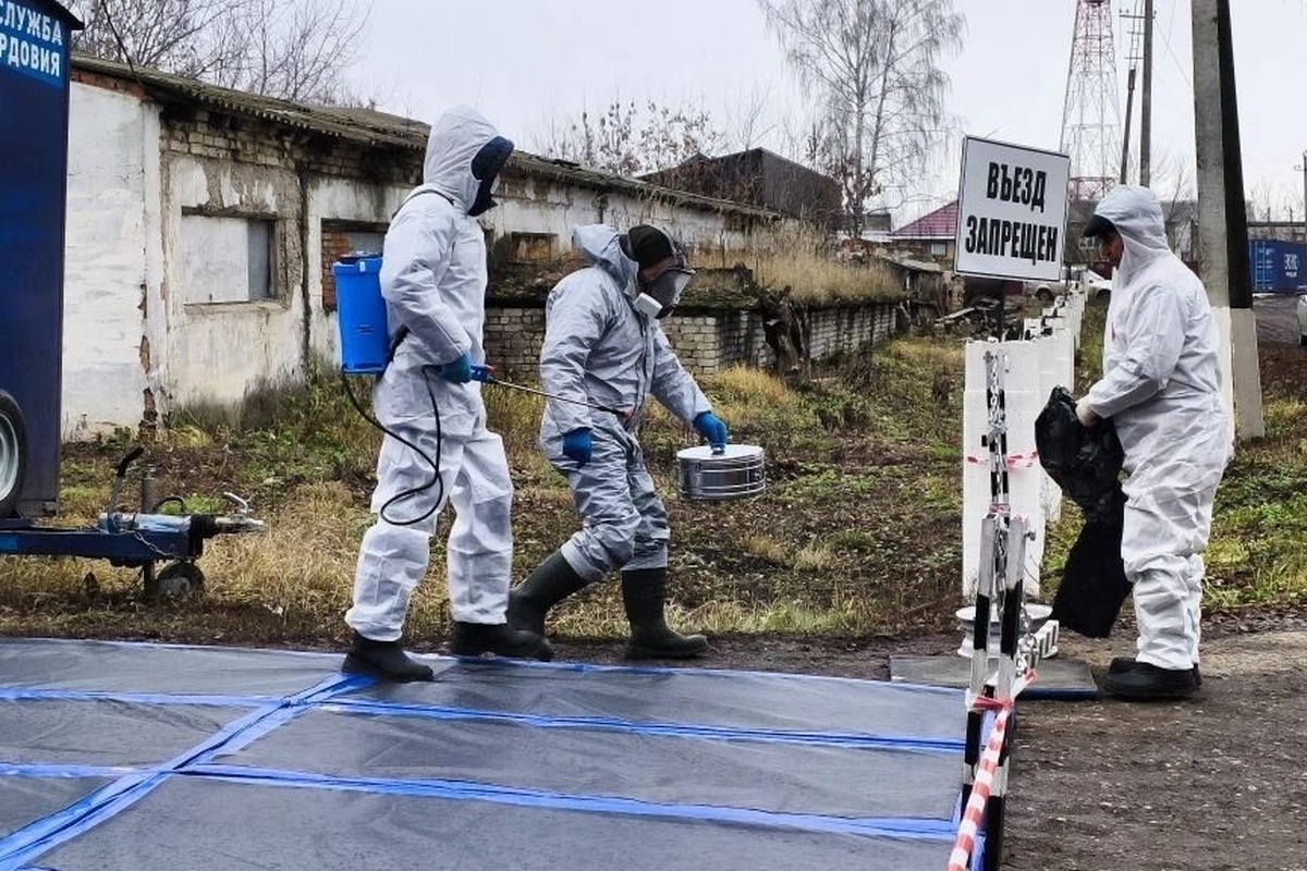    Фото: Государственный комитет по ветеринарии РМ