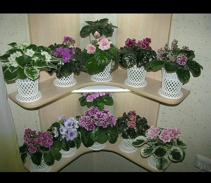 такие полочки можно разместить даже в прихожей