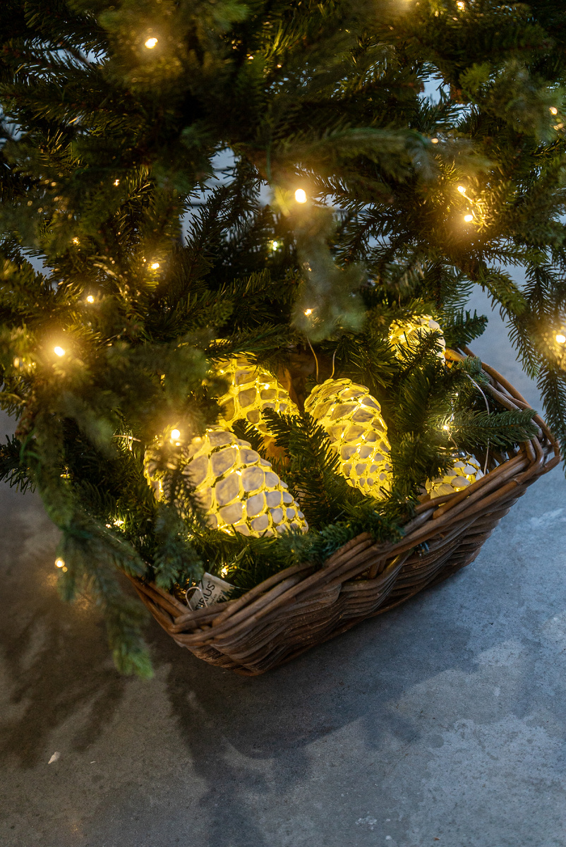 Шишка CELINA Cone Showy White от Sirius! ❄️