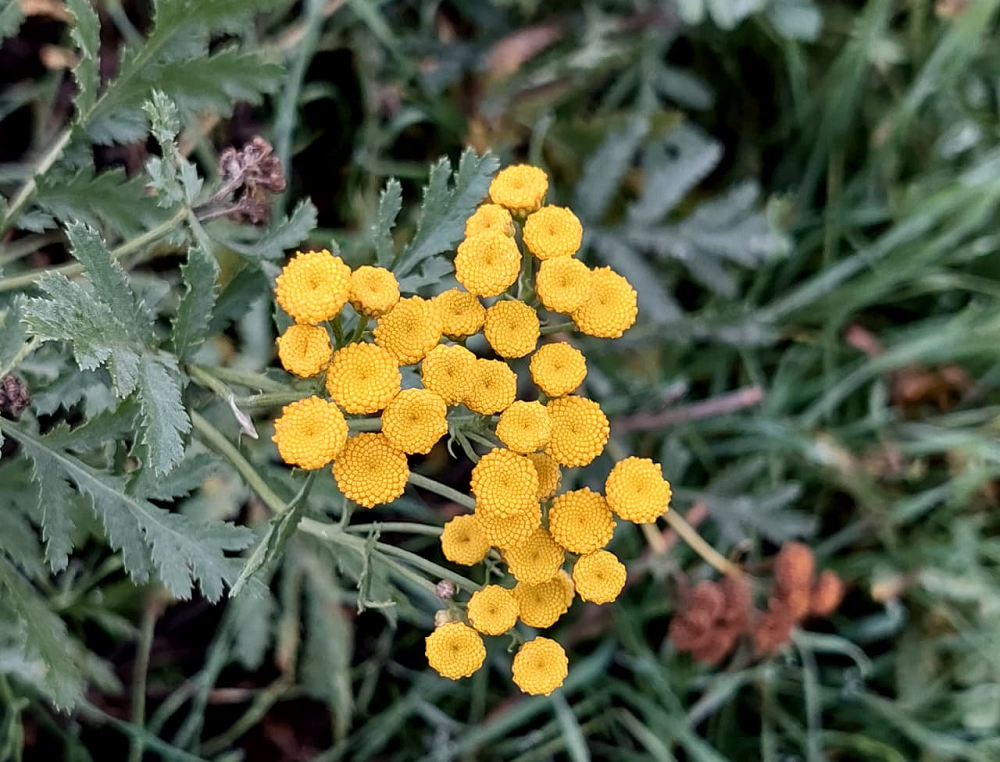   Фото редакции "СВ" Марина Ецкова