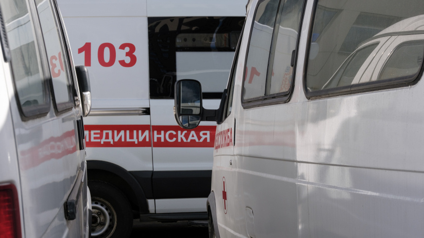    Фото: ИЗВЕСТИЯ/Сергей Виноградов