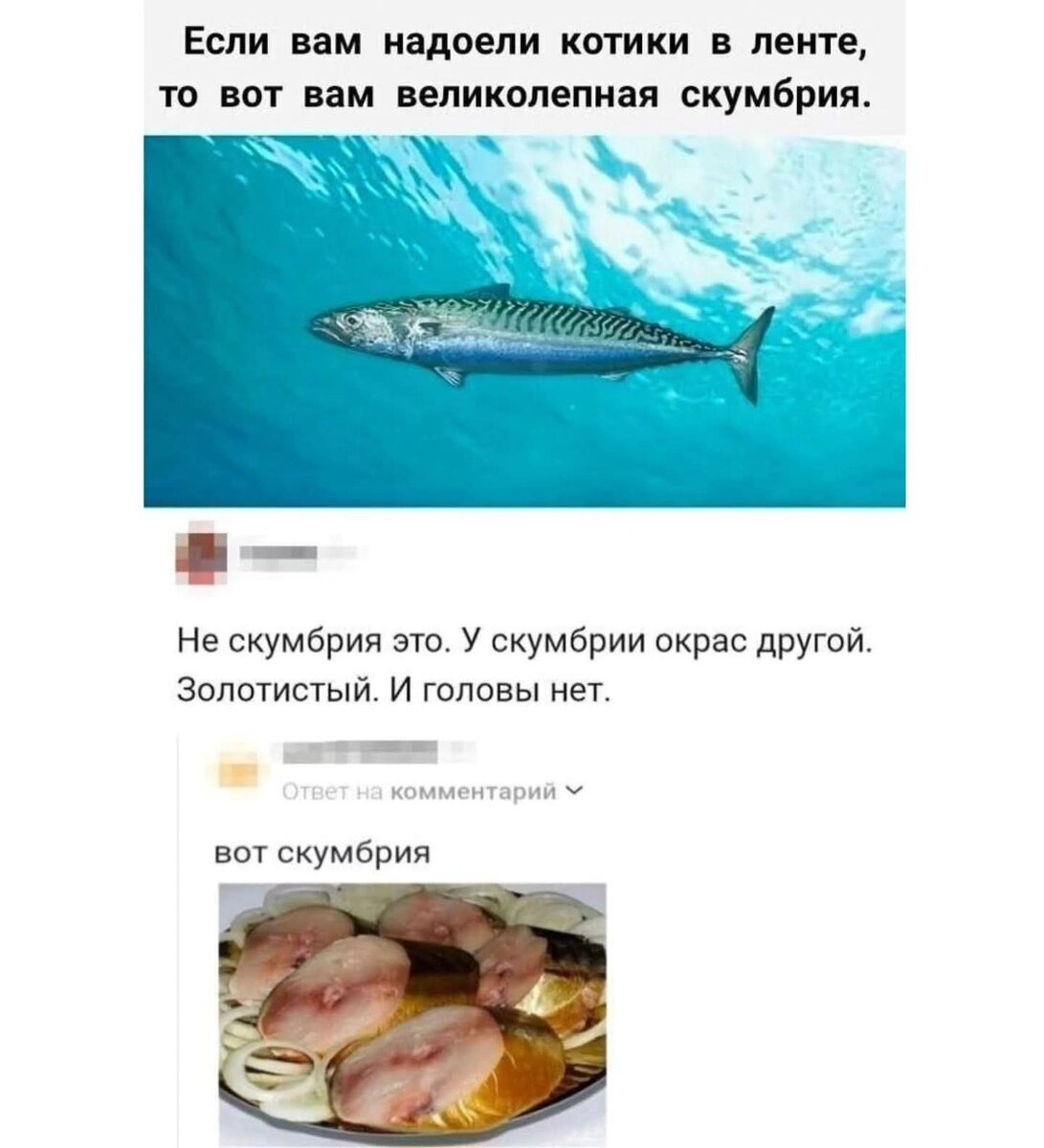 scale_1200