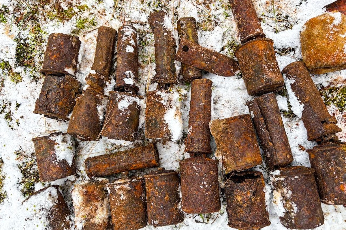    Фото: региональное Управление Росгвардии