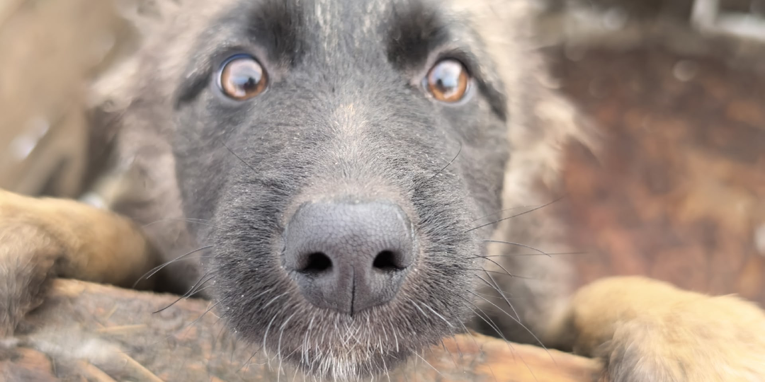 Бездушная толпа, что открестилась от любящего сердца