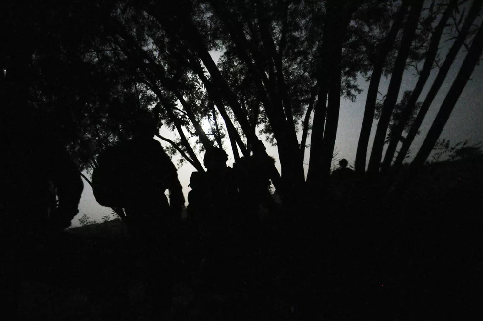 Яндекс картинки