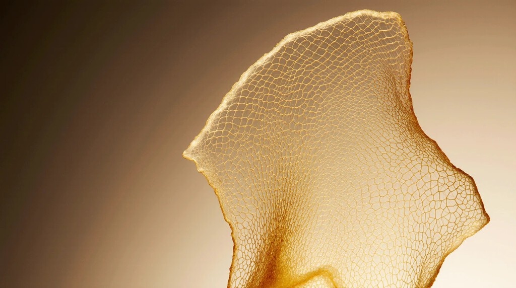 Гусиный сальник