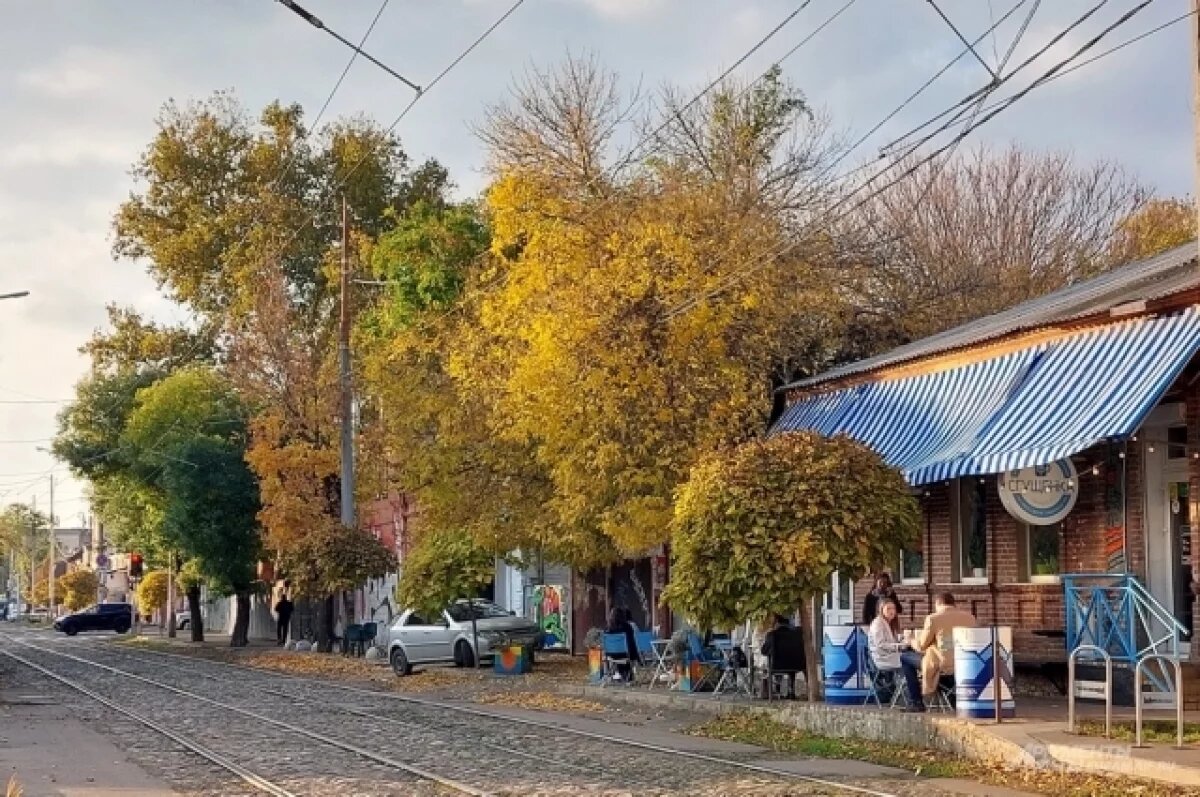    Из-за аномально теплого ноября юг России может остаться без урожая