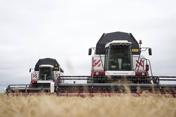    Фото: Минсельхоз Иркутской области