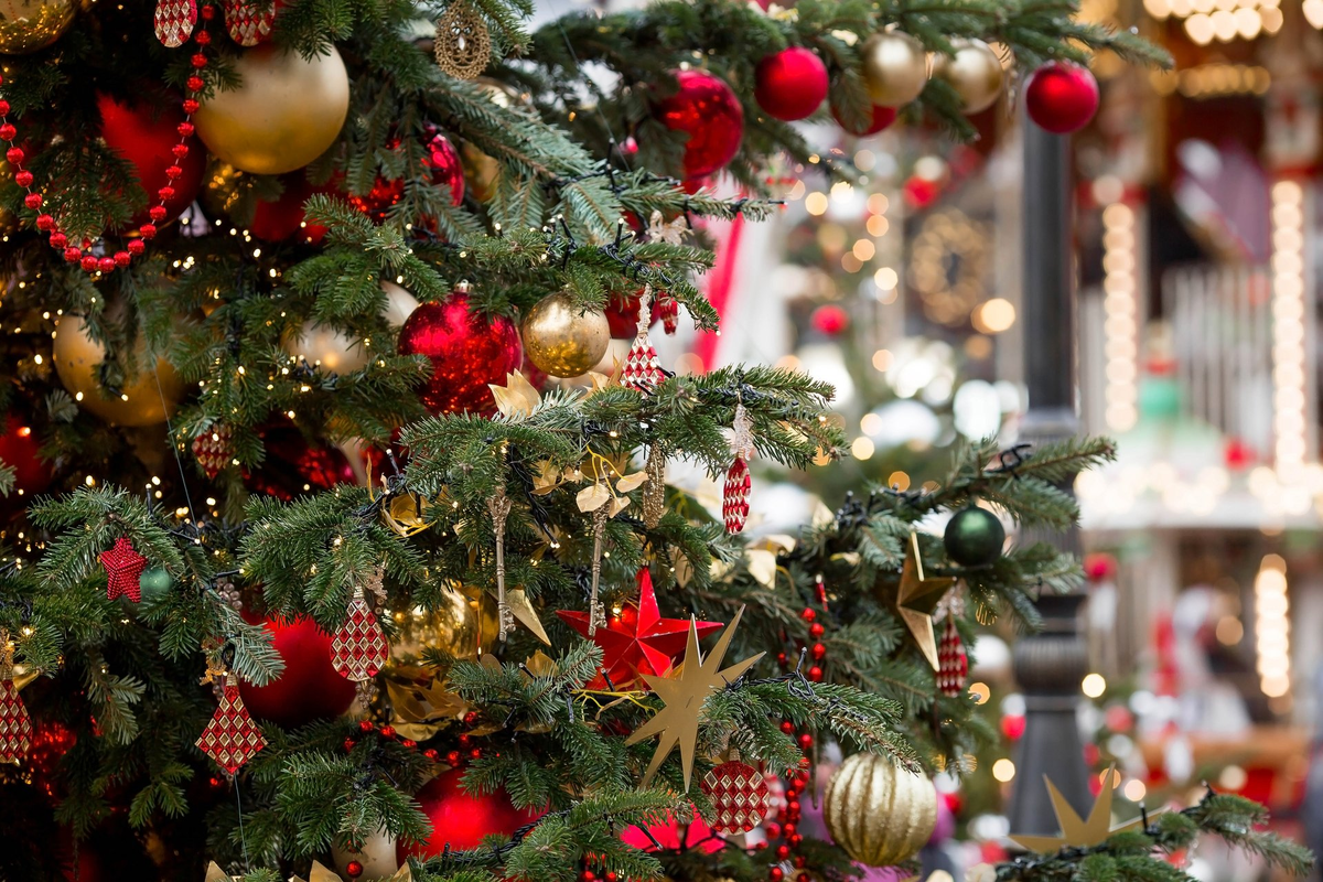 Фото: Julia Klueva / iStockphoto.com