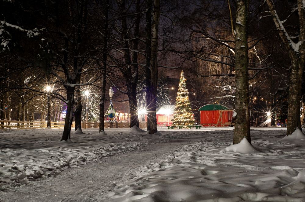 Фото: Андрей Зубов/РИА Верхневолжье