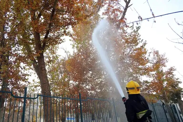    Источник: Хокимият Ташкента