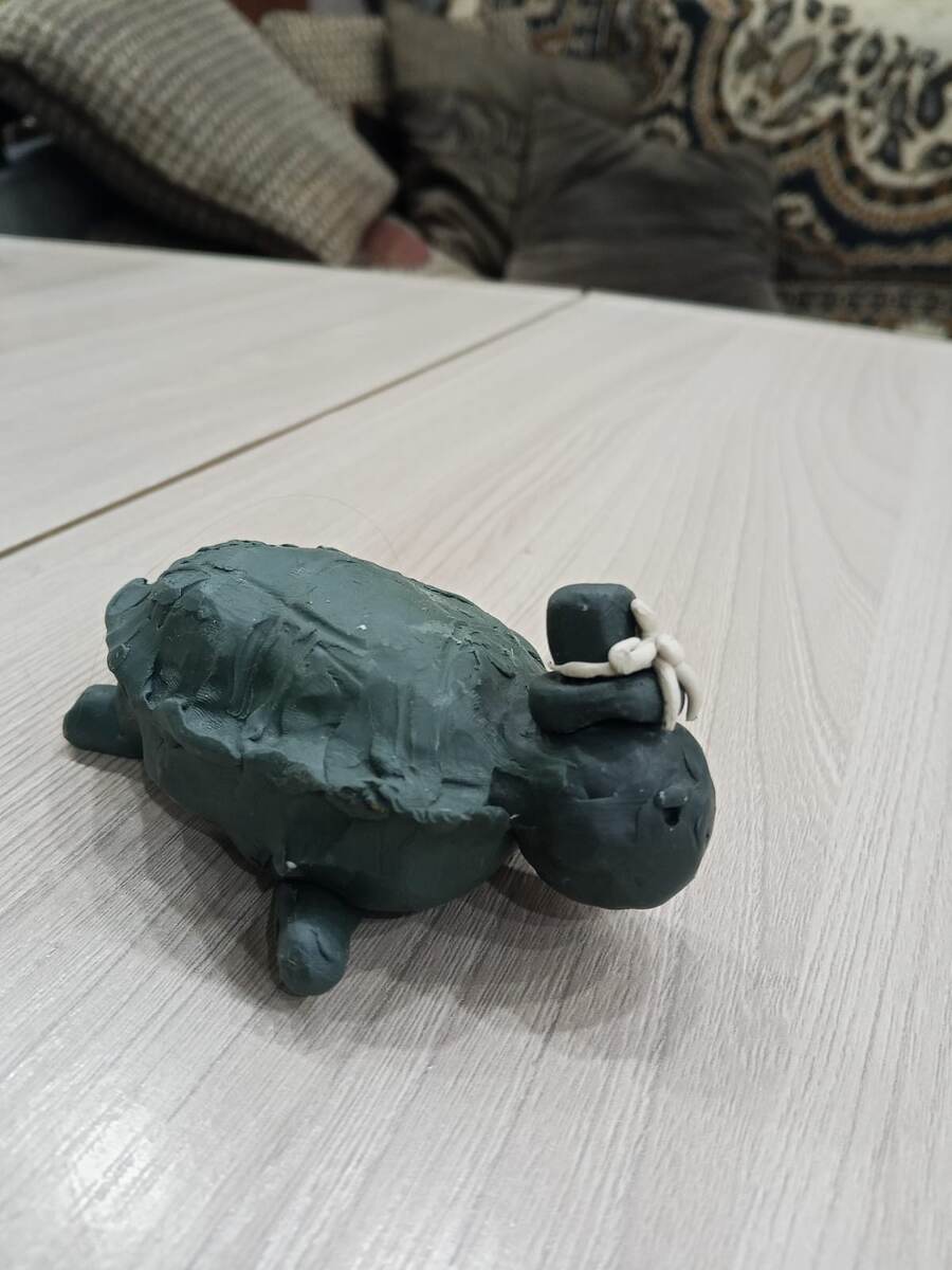 Фото автора канала - черепаха