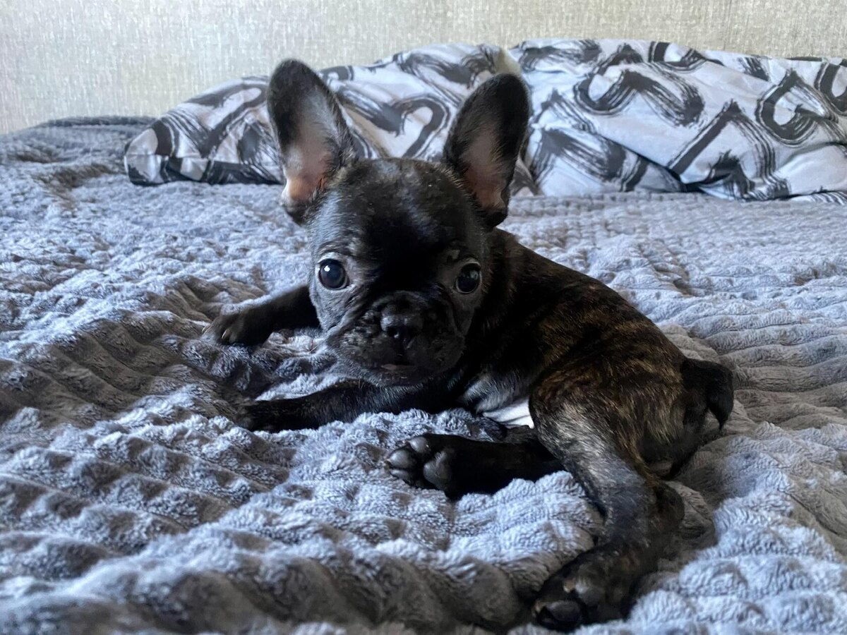 Сразу видно - девочка