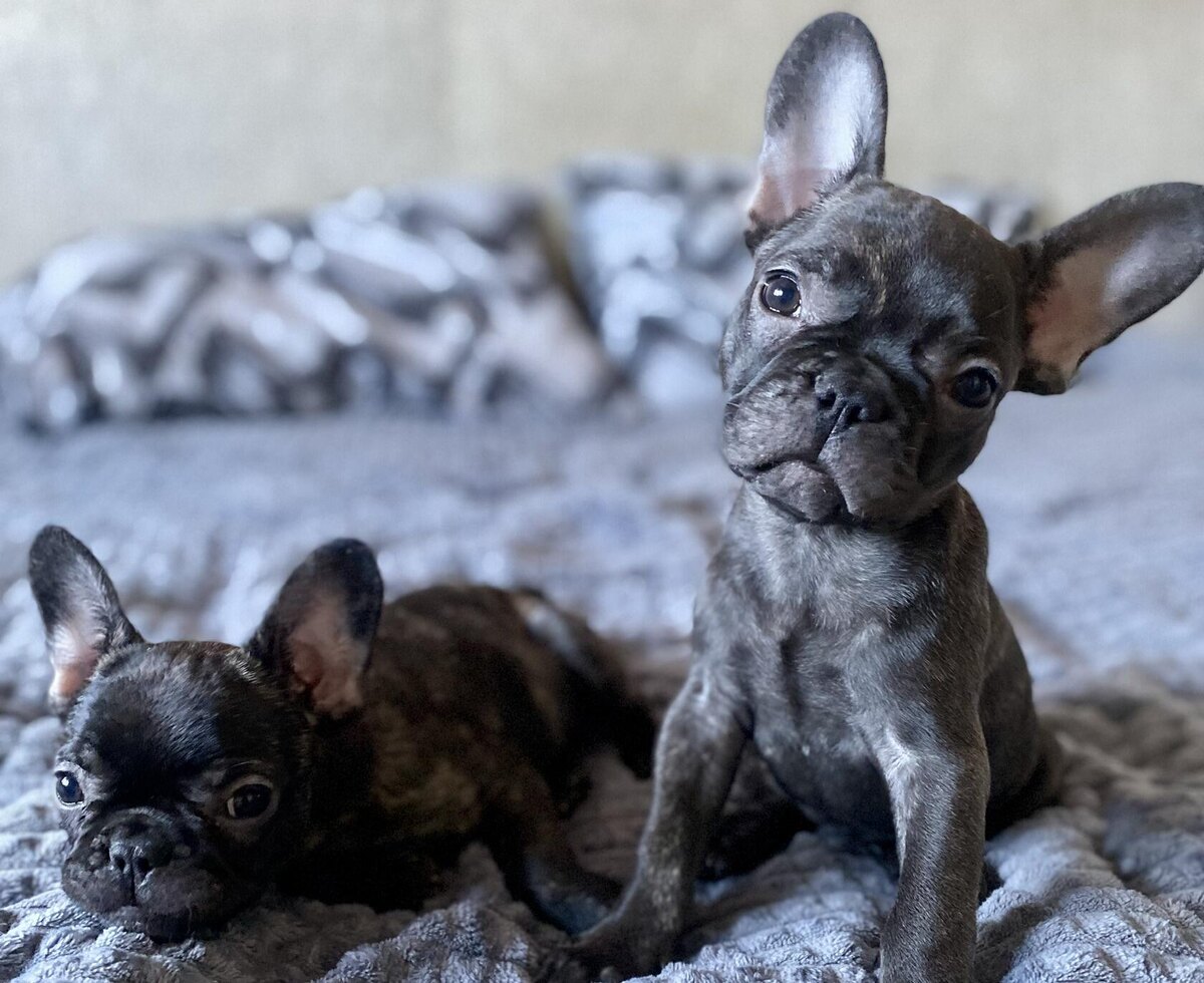 И мальчишку видно сразу