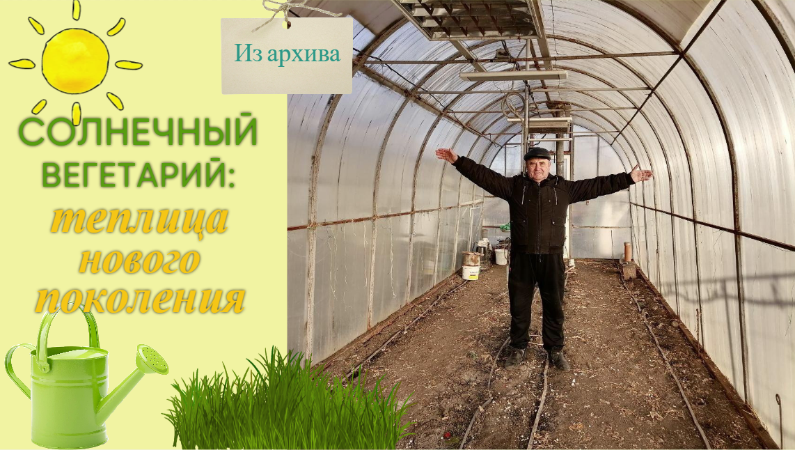 Мой солнечный вегетарий