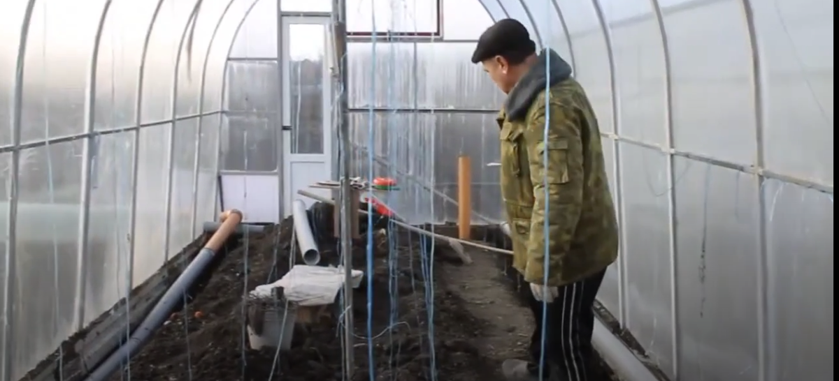 Прокладка труб в вегетарии 